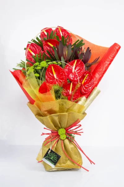 Hand Bunches Red Anthuriums, Sunset Safari & Green Daisy
