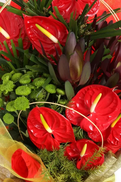Hand Bunches Red Anthuriums, Sunset Safari & Green Daisy