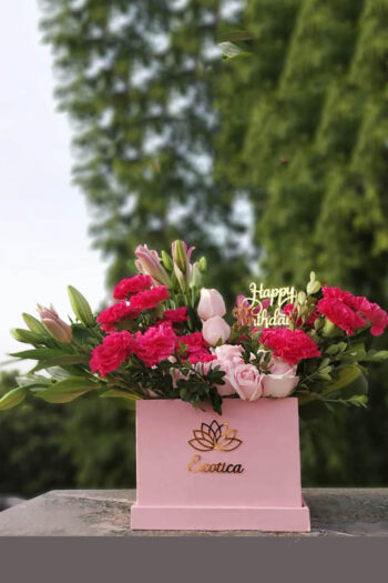 Fresh Flowers Box of Lily, Roses & Carnations