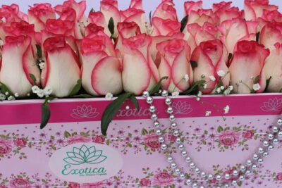 Box Arrangements Big Box of Jumilia Roses & Gypsophilla