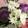 Box Brassica, Daisy, Carnation & Gysophilla
