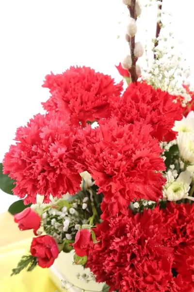 Box Arrangements Box of Carnation, Daisy & Spray Roses