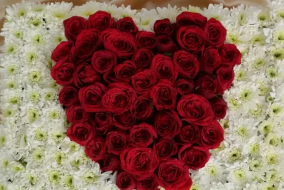 Box Arrangements Box of White Daisy & A Heart Shape Red Roses