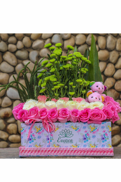 Box Arrangements Small Box of Roses, Daisy & Teddies