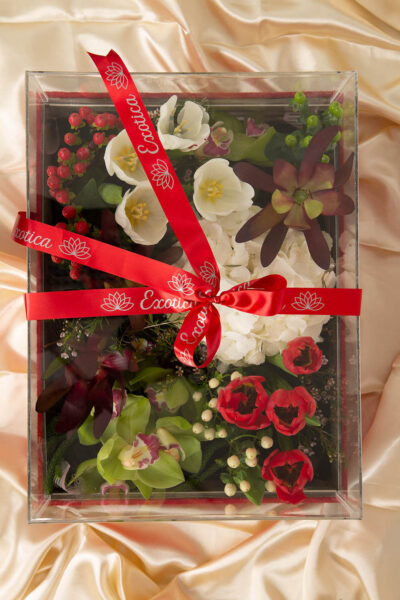 Box Arrangements Big Acrylic Box of Tulips, Hydrangea & Cymbidium