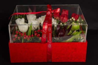 Box Arrangements Big Acrylic Box of Tulips, Hydrangea & Cymbidium
