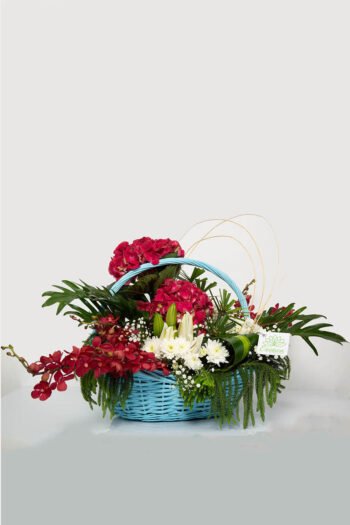 Basket Arrangements Basket of Hydrangea, Mokara, Lily, Daisy & Gypsophila
