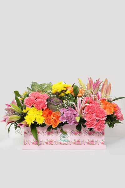 Box Arrangements Big Box of Lily, Brassica, Carnations, Roses & Daisy
