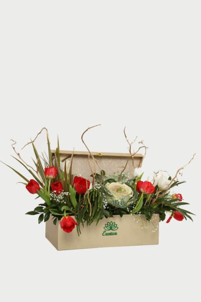Box Arrangements Big Box of Tulip, Brassica & Gypsophilla