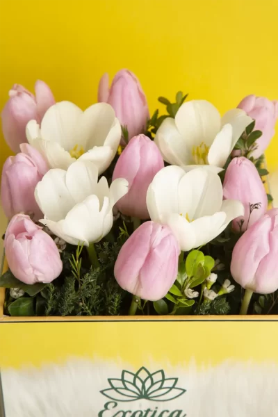 Box Arrangements Mirror Box of Pink & White Tulips
