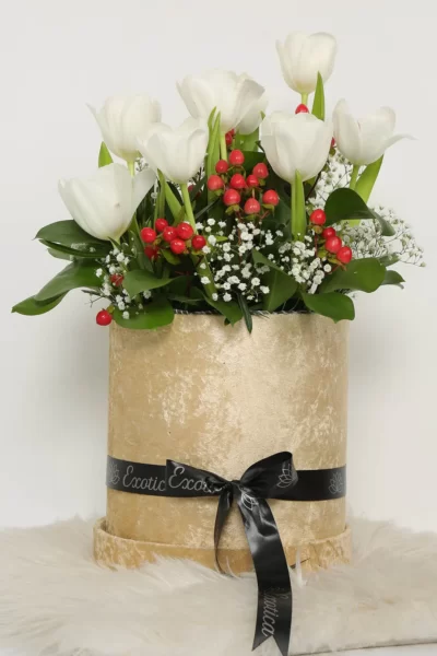Box Arrangements Round Box of White Tulips & Red Hypercium Berry