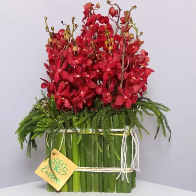 Fresh Flowers Arrangement of 18 Red Mokara Orchids