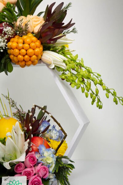 Fruits & Flowers Collection Hexagon wooden Base of Flowers & Fruits