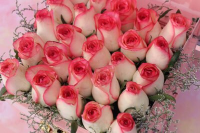 Fresh Flowers Pink Metal Trunk of 25 Jumilia Roses