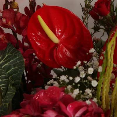 Fresh Flowers Wooden Tray of Hydrangea, Anthurium, Mokara & Cala Lily