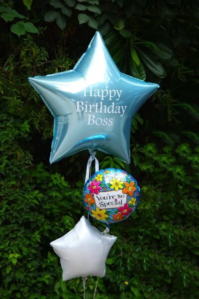 Balloon Bunches Boss Birthday