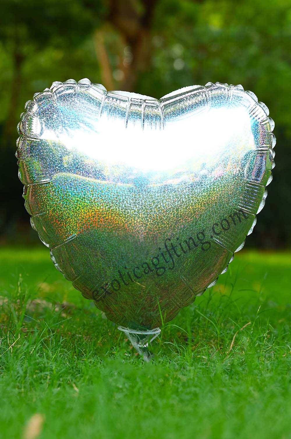  Single Balloons
