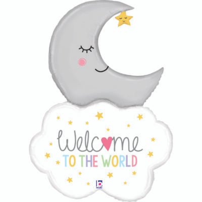 New Born Welcome Baby Moon