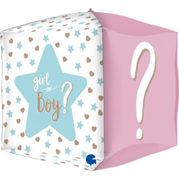 New Born Square Gender Reveal 4D