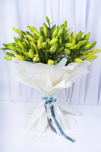 Fresh Flowers Flower Bunch Of Green Lily Bud With Gypso