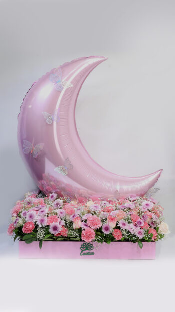 Karwa Chauth Special